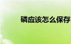 磷应该怎么保存 磷应该如何保存