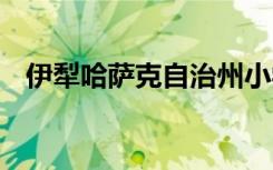 伊犁哈萨克自治州小学有哪些 哪些比较好