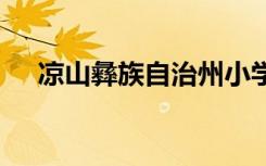 凉山彝族自治州小学有哪些 哪些比较好