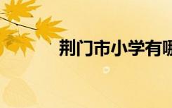 荆门市小学有哪些 哪些比较好