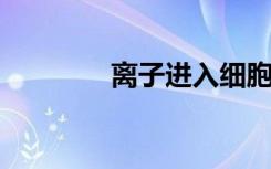 离子进入细胞的方式有哪些