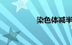 染色体减半在什么时期