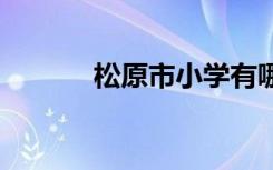 松原市小学有哪些 哪些比较好