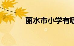 丽水市小学有哪些 哪些比较好