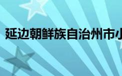 延边朝鲜族自治州市小学有哪些 那些比较好