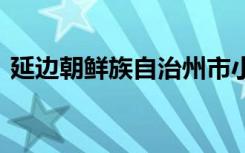 延边朝鲜族自治州市小学有哪些 那些比较好