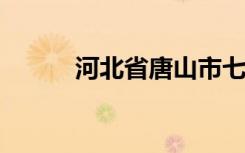 河北省唐山市七十号小学怎么样