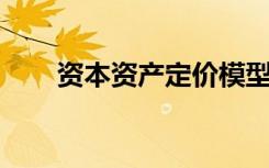 资本资产定价模型的假设可以概括为