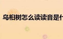 乌桕树怎么读读音是什么 乌桕树是什么意思