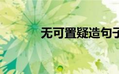 无可置疑造句子 无可置疑造句