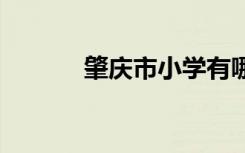 肇庆市小学有哪些 那些比较好
