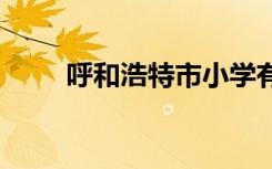 呼和浩特市小学有哪些 那些比较好