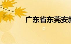 广东省东莞安新安小学怎么样
