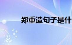 郑重造句子是什么意思 郑重造句