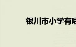 银川市小学有哪些 那些比较好