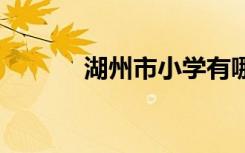 湖州市小学有哪些 那些比较好
