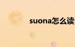 suona怎么读 suona如何读