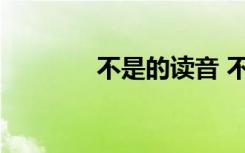 不是的读音 不是有哪些读音