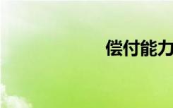 偿付能力比率包括