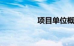 项目单位概况分析应从
