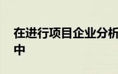 在进行项目企业分析时,以下不包括在其分析中