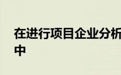 在进行项目企业分析时,以下不包括在其分析中