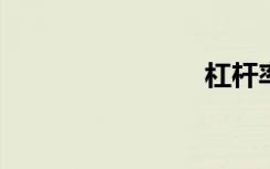 杠杆率包括