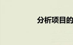 分析项目的还款能力时