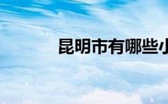昆明市有哪些小学 哪些比较好