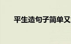 平生造句子简单又好看 生平事迹造句