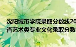 沈阳城市学院录取分数线2019艺术类（2022沈阳工学院各省艺术类专业文化录取分数线是多少）