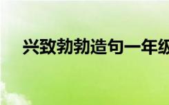 兴致勃勃造句一年级10字 兴致勃勃造句