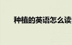 种植的英语怎么读 种植的英语的读音