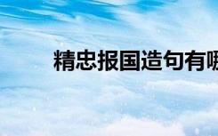 精忠报国造句有哪些 尽忠报国造句