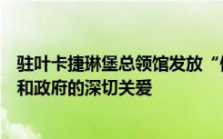 驻叶卡捷琳堡总领馆发放“健康包”让留学生切实感受到党和政府的深切关爱