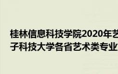 桂林信息科技学院2020年艺术类录取分数线（2022桂林电子科技大学各省艺术类专业文化录取分数线是多少）