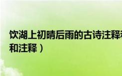 饮湖上初晴后雨的古诗注释和诗意（饮湖上初晴后雨的诗意和注释）