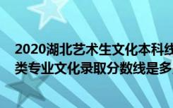 2020湖北艺术生文化本科线（2022湖北经济学院各省艺术类专业文化录取分数线是多少）