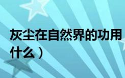 灰尘在自然界的功用（灰尘在自然界的功用是什么）