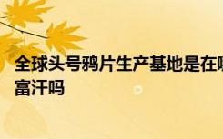 全球头号鸦片生产基地是在哪里 全球头号鸦片生产基地在阿富汗吗