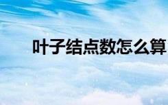 叶子结点数怎么算 叶子结点数如何算