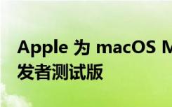 Apple 为 macOS Monterey 发布第九个开发者测试版