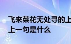飞来菜花无处寻的上一句 飞来菜花无处寻的上一句是什么