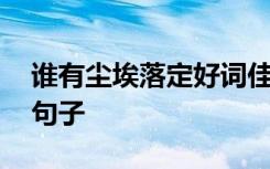 谁有尘埃落定好词佳句 关于形容尘埃落定的句子