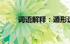 词语解释：遁形远世的意思是什么
