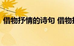 借物抒情的诗句 借物抒情的经典诗句有哪些