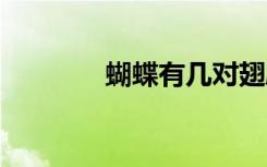 蝴蝶有几对翅膀 蝴蝶的简介