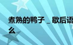 煮熟的鸭子＿歇后语 煮熟的鸭子下一句是什么