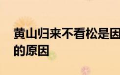 黄山归来不看松是因为什么 黄山归来不看松的原因