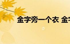 金字旁一个衣 金字旁一个衣什么字